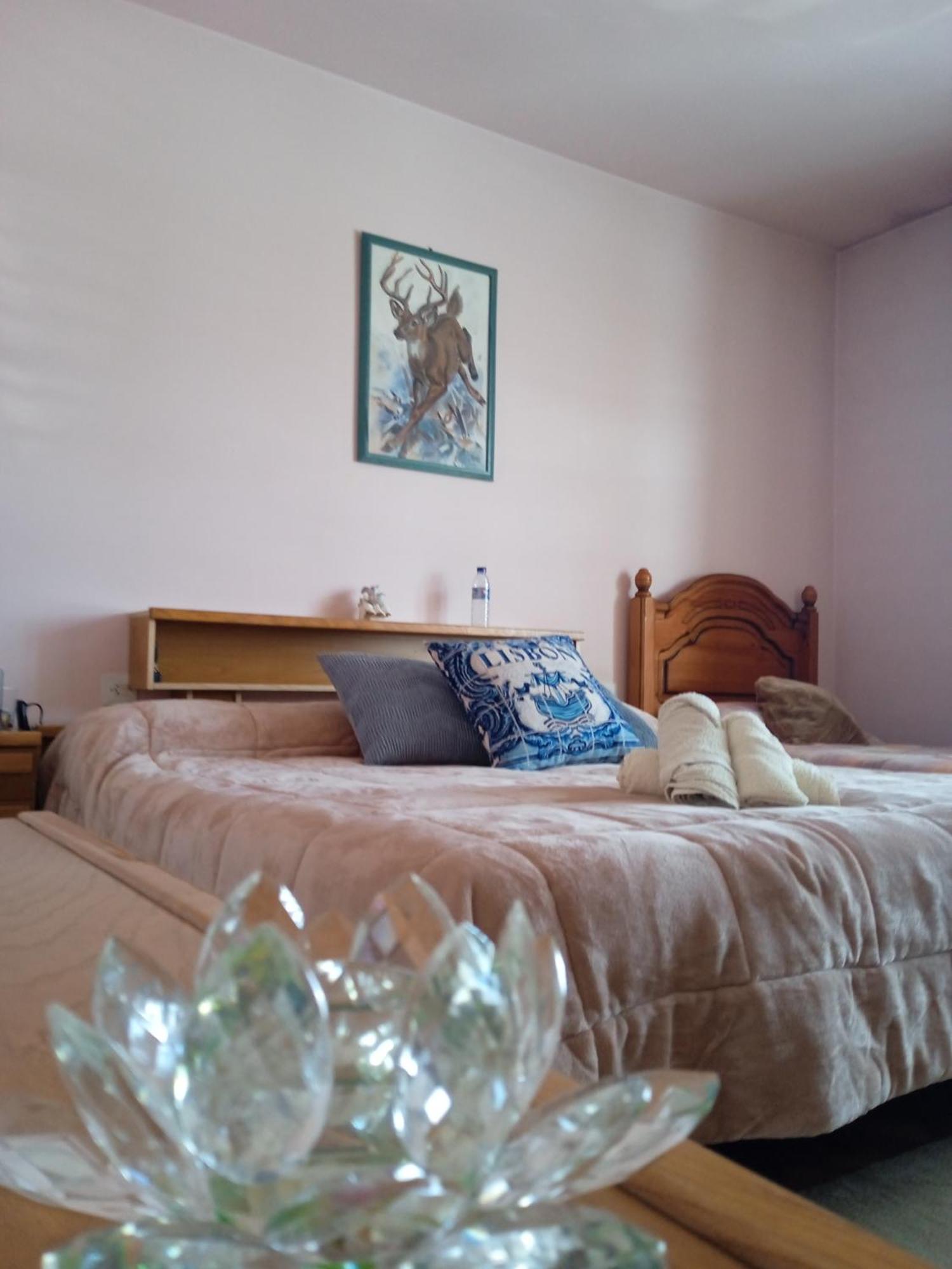 A Casa De Abelleira Ponteareas Bed and Breakfast Eksteriør billede